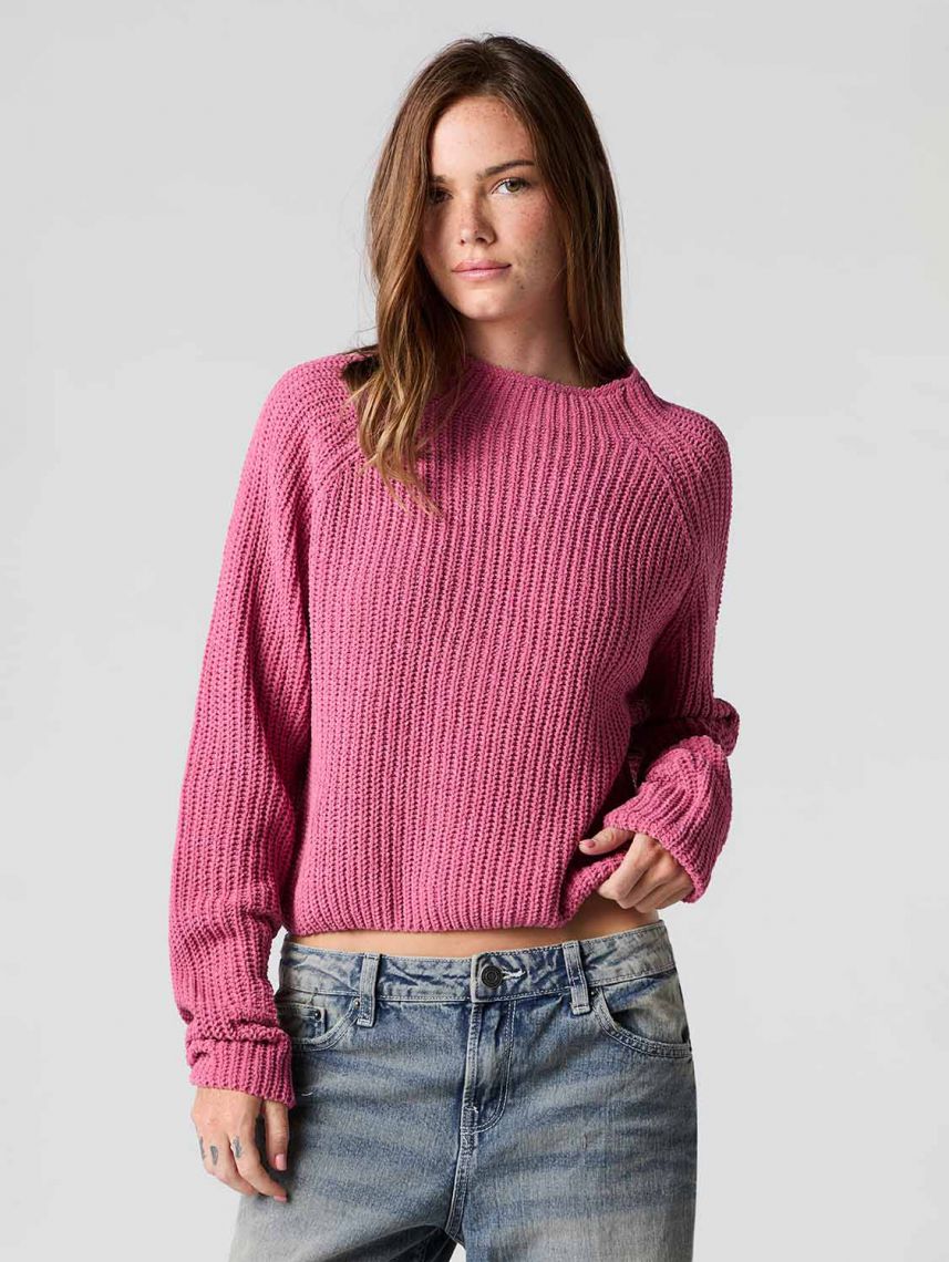 סריג עם צווארון