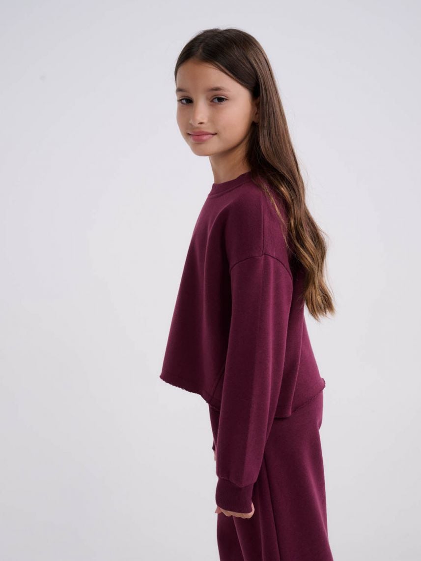 סווטשירט פוטר