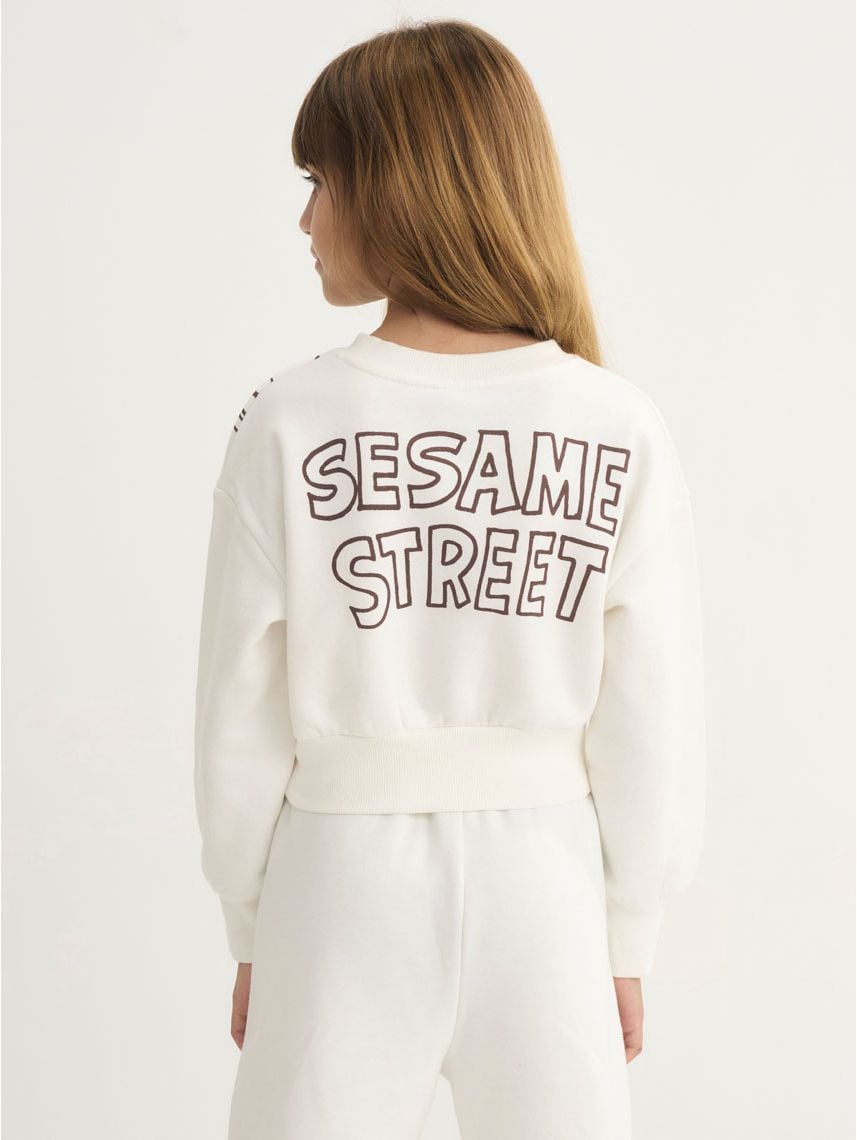 סווטשירט | Sesame Street