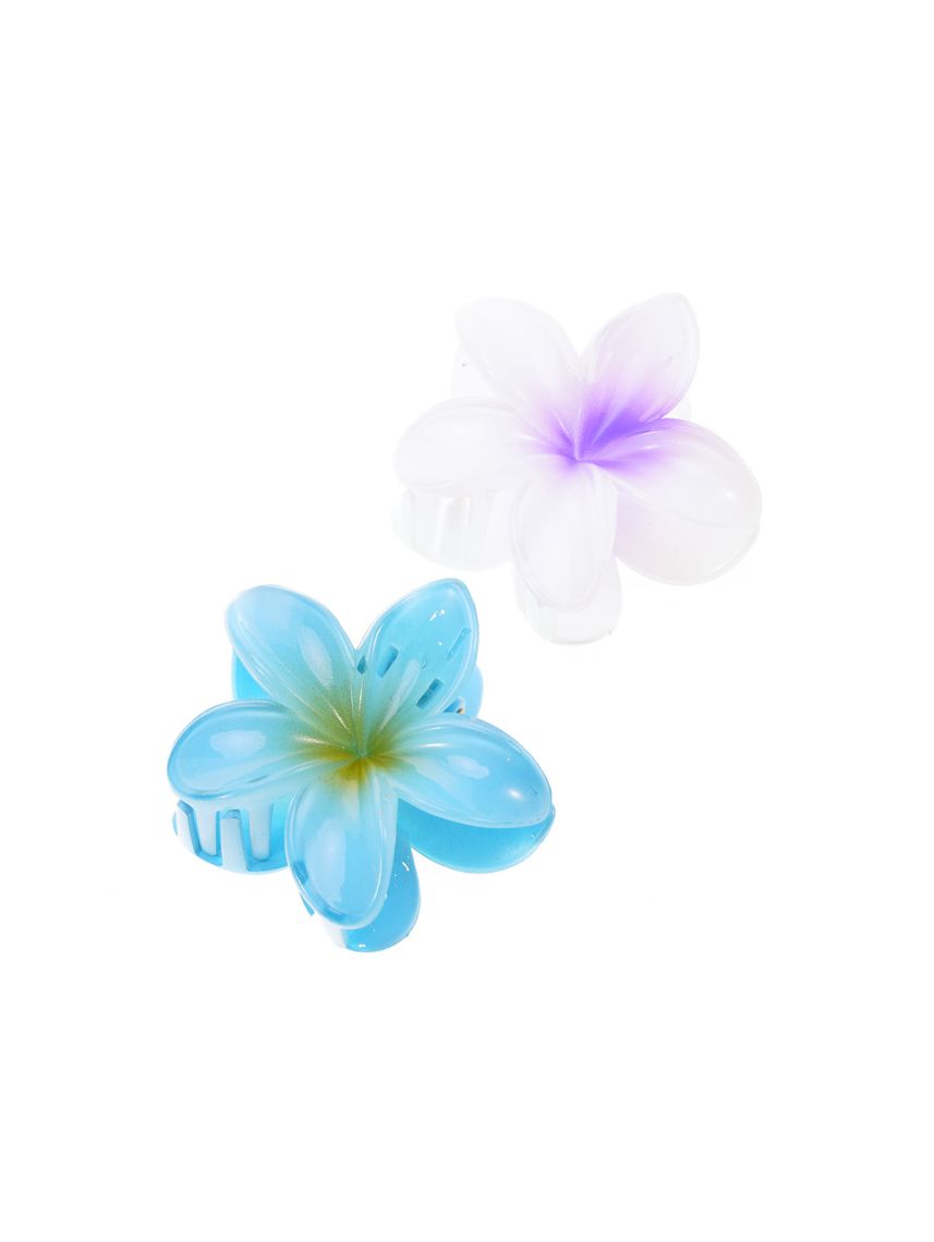 מארז זוג קליפסים