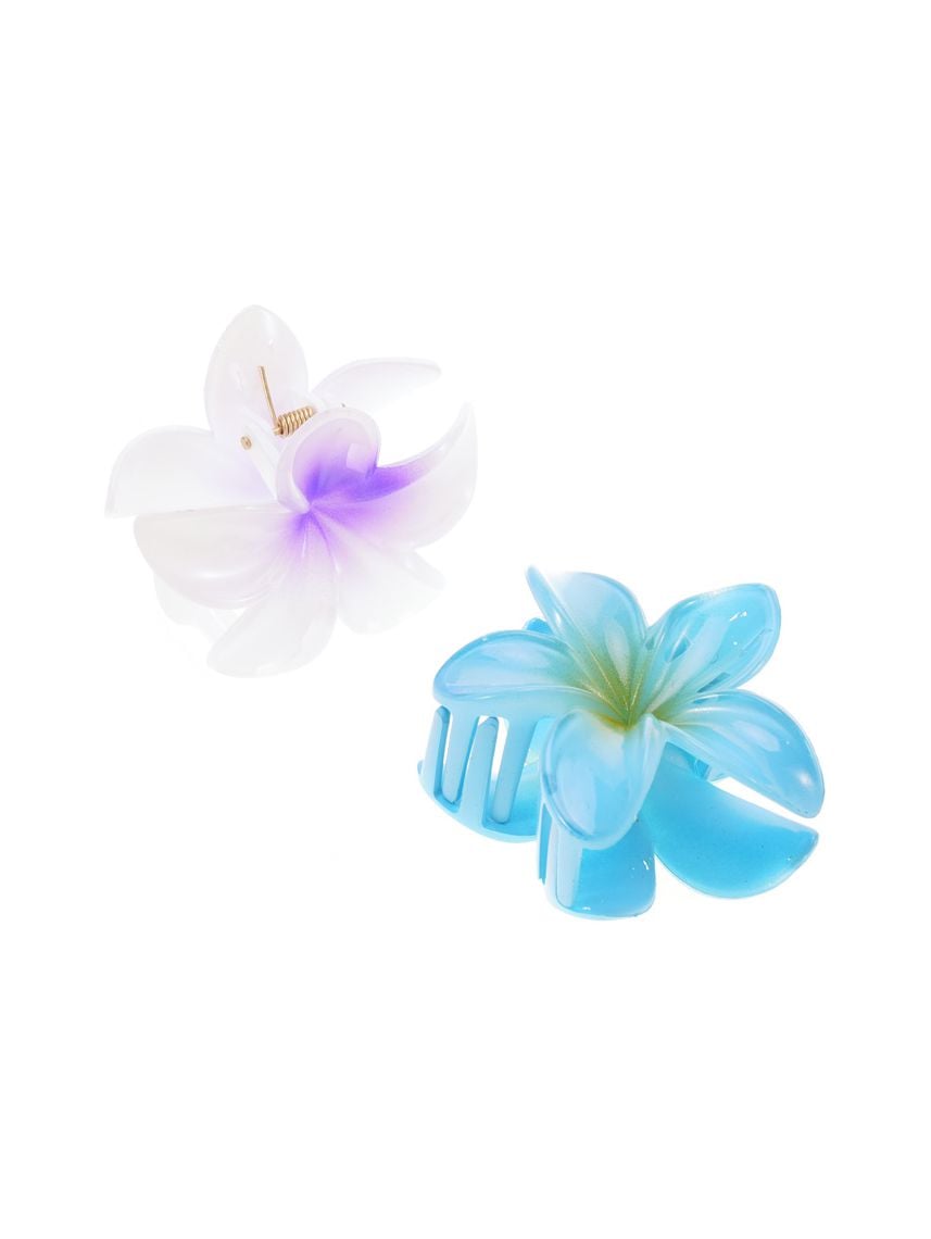 מארז זוג קליפסים