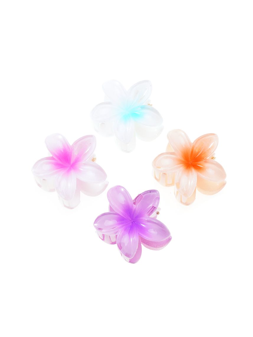 מארז 4 קליפסים