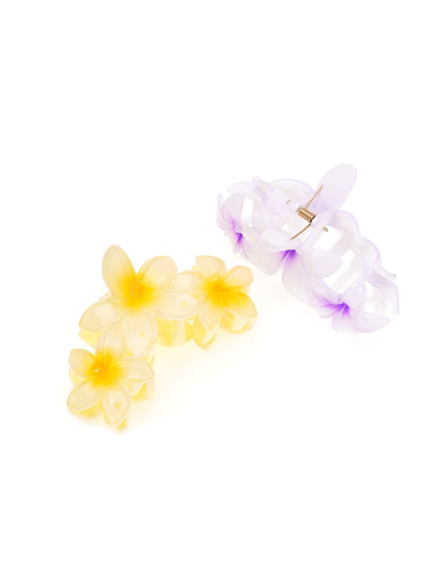 מארז זוג קליפסים