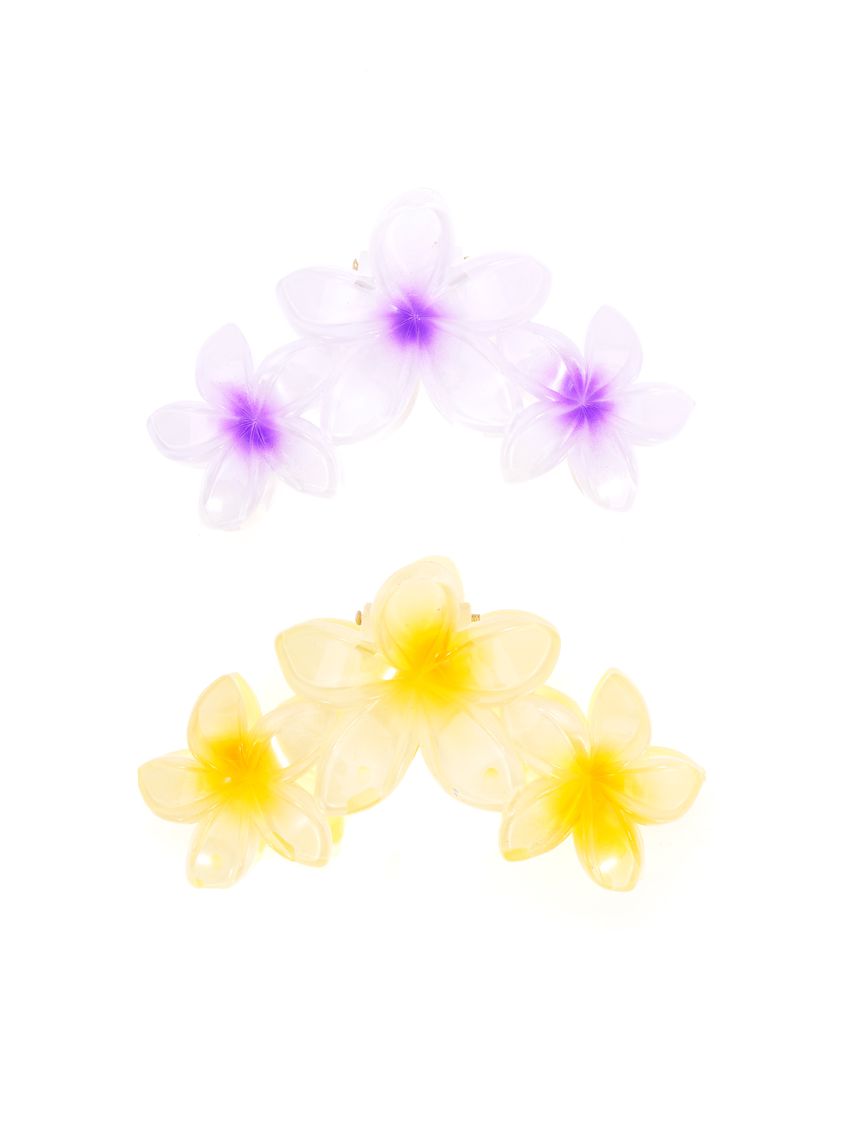 מארז זוג קליפסים