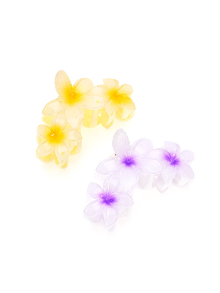 מארז זוג קליפסים