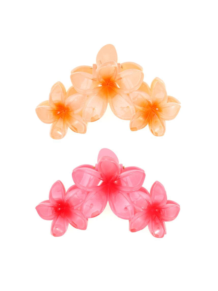 מארז זוג קליפסים