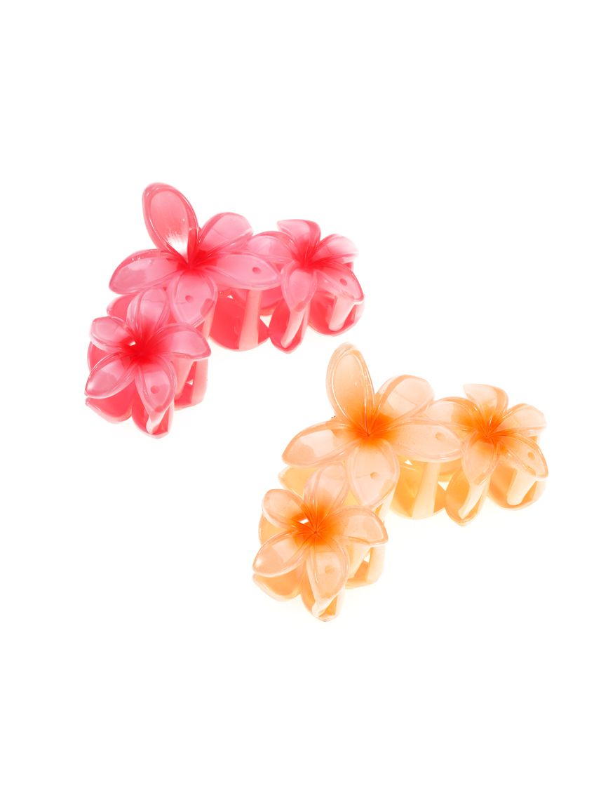 מארז זוג קליפסים