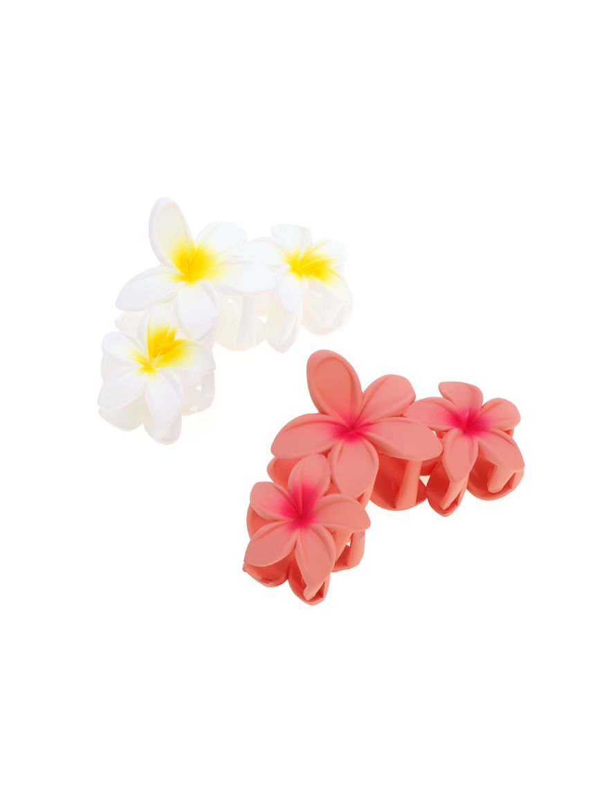 מארז זוג קליפסים