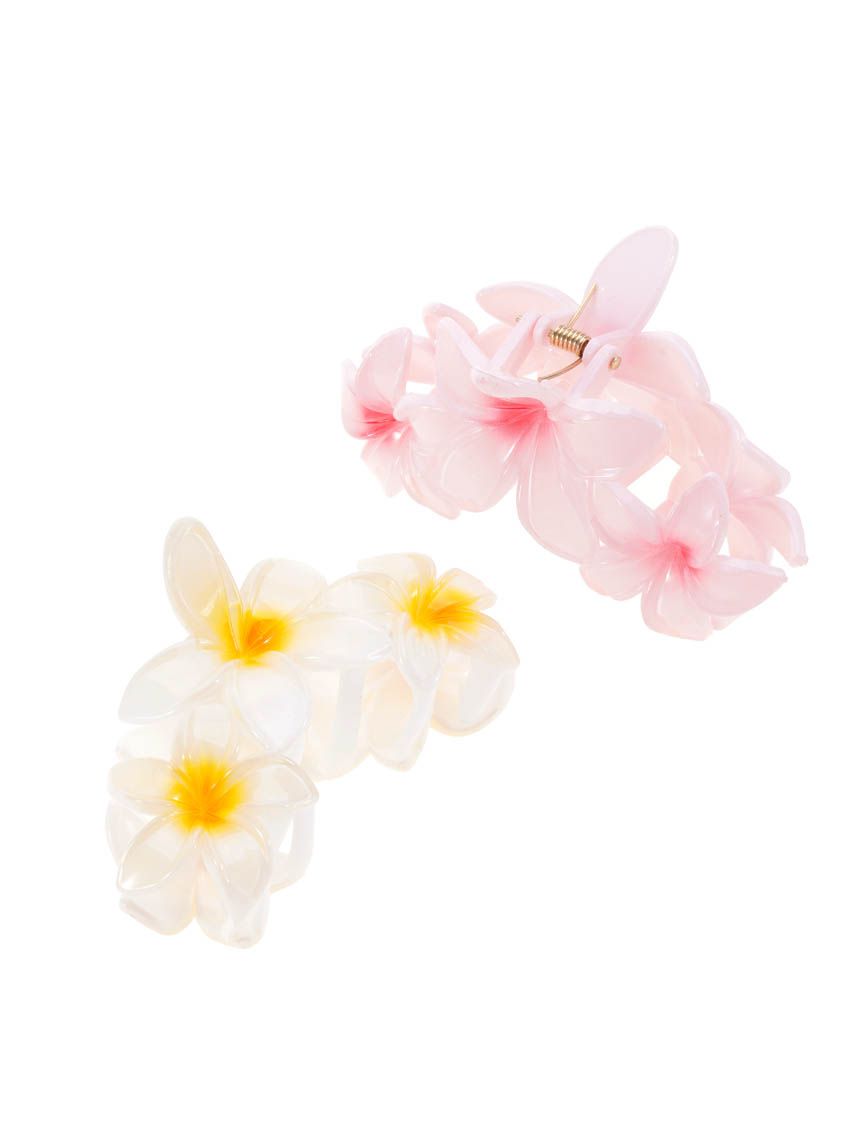 מארז זוג קליפסים