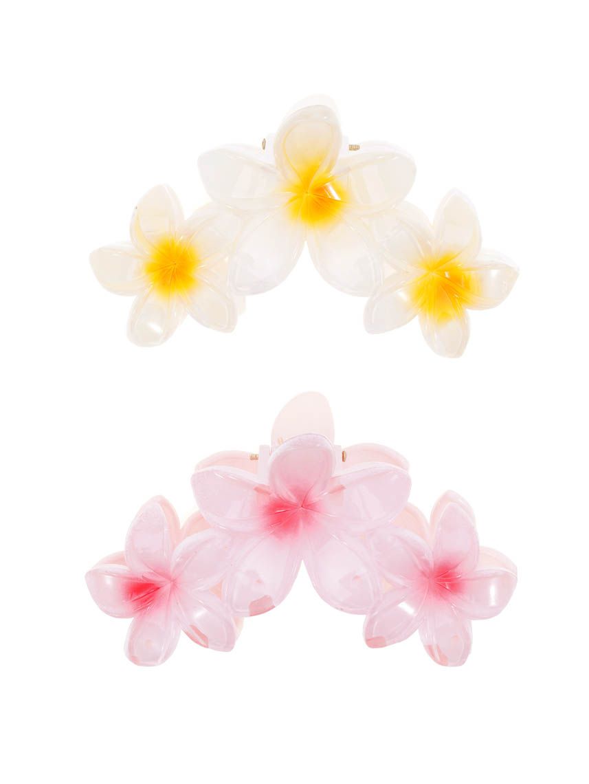 מארז זוג קליפסים