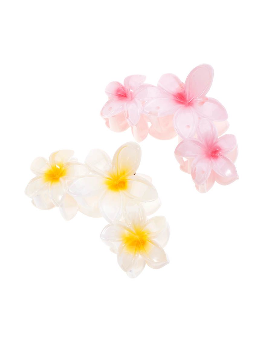 מארז זוג קליפסים