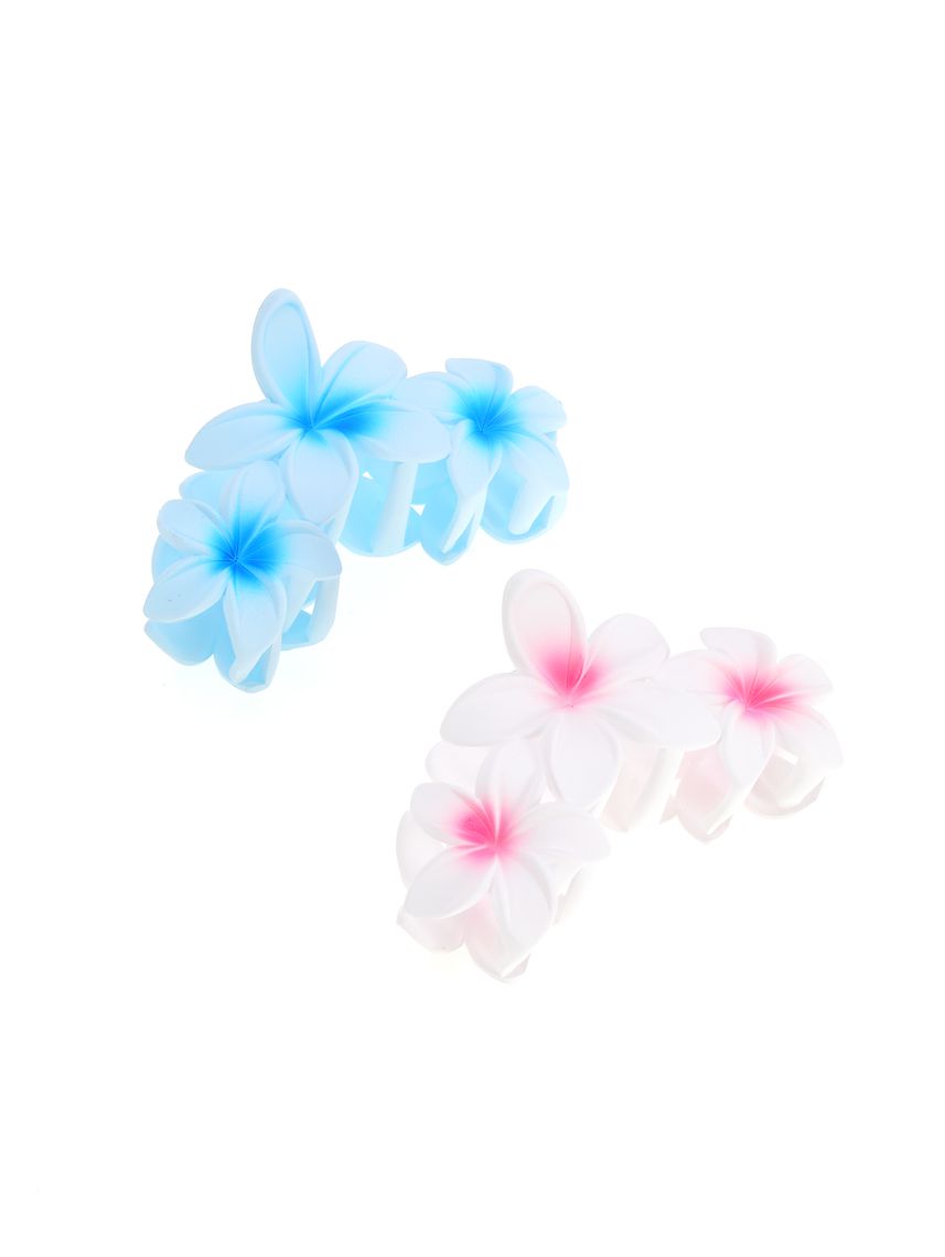 מארז זוג קליפסים