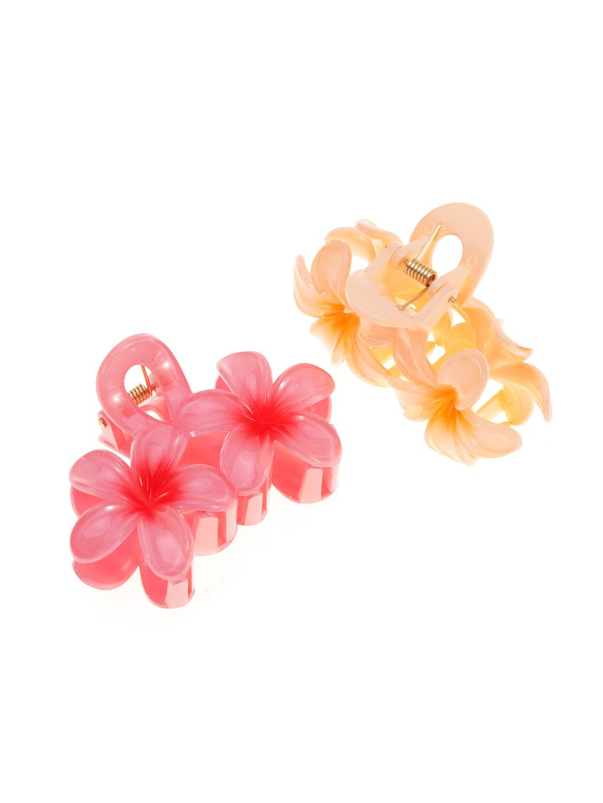 מארז זוג קליפסים