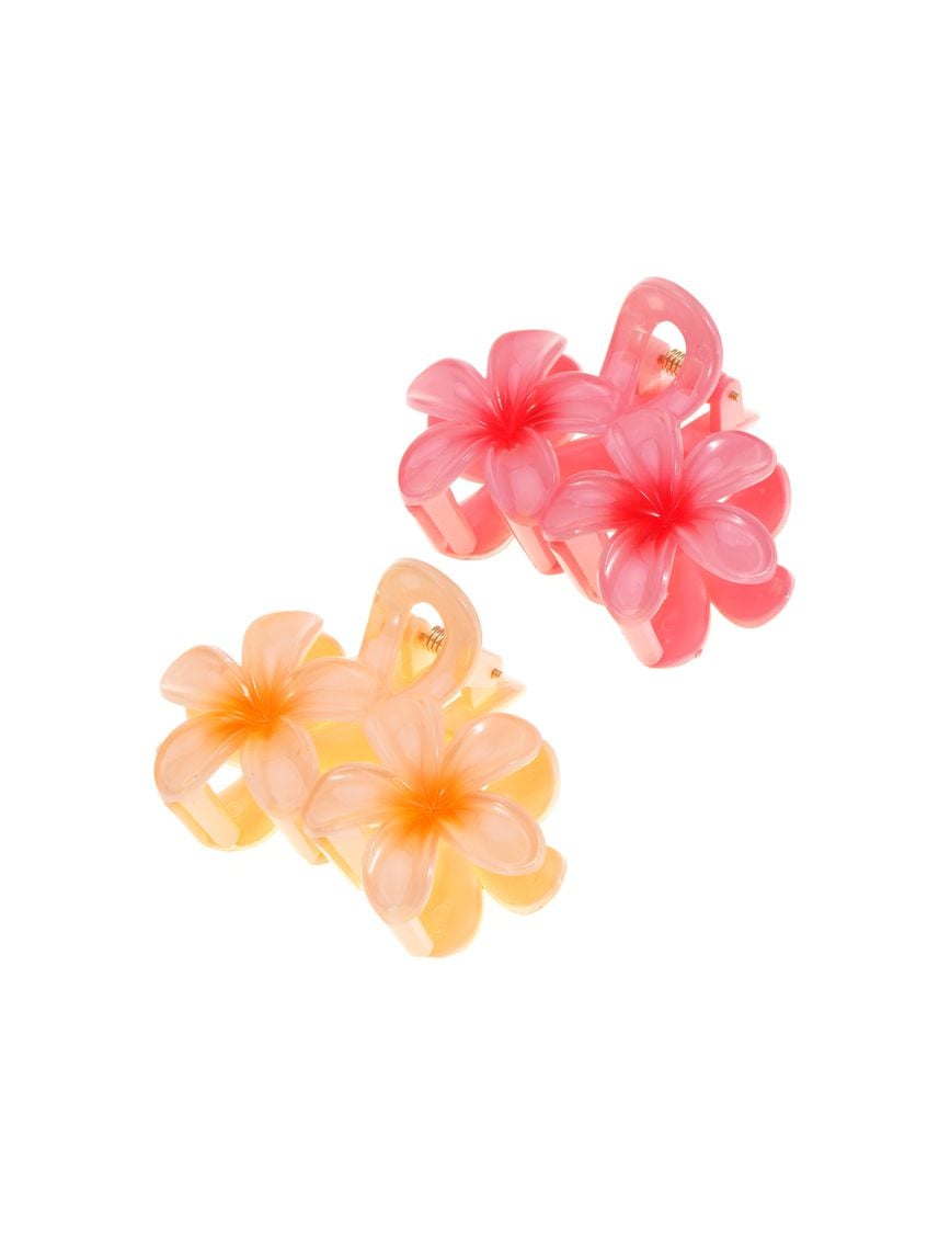 מארז זוג קליפסים