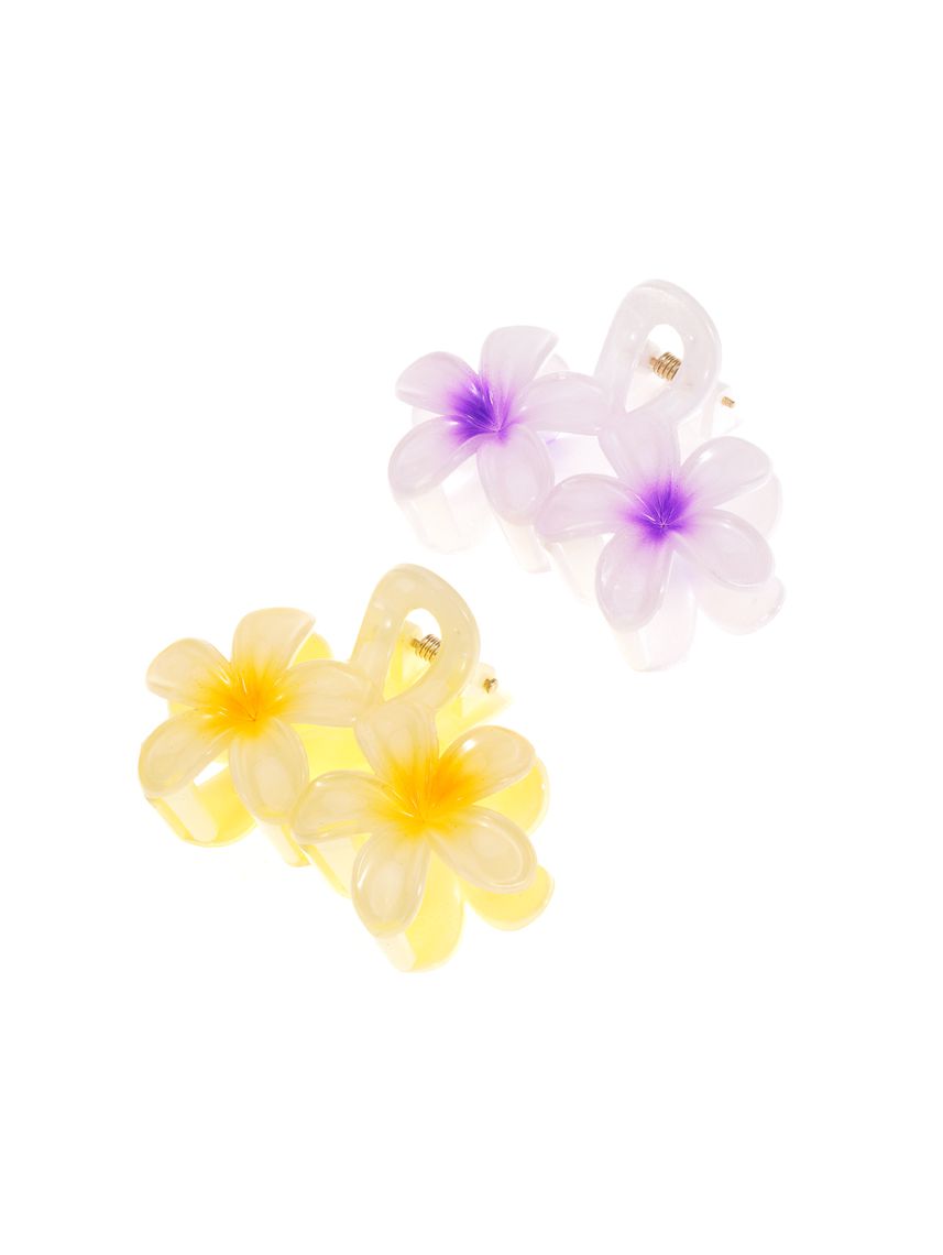 מארז זוג קליפסים