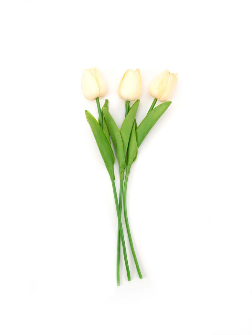 שלושה ורדים צבעוניים מפלסטיק