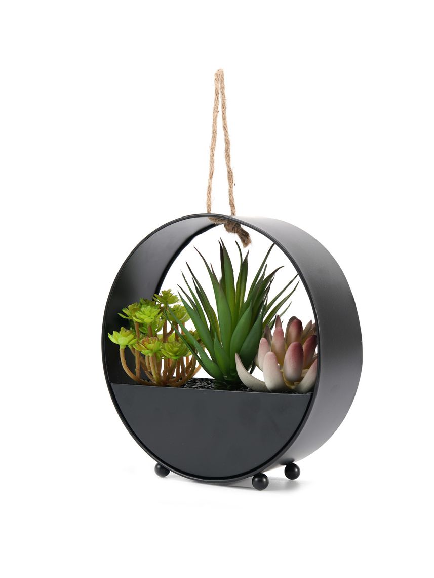 עציץ במעמד עגול