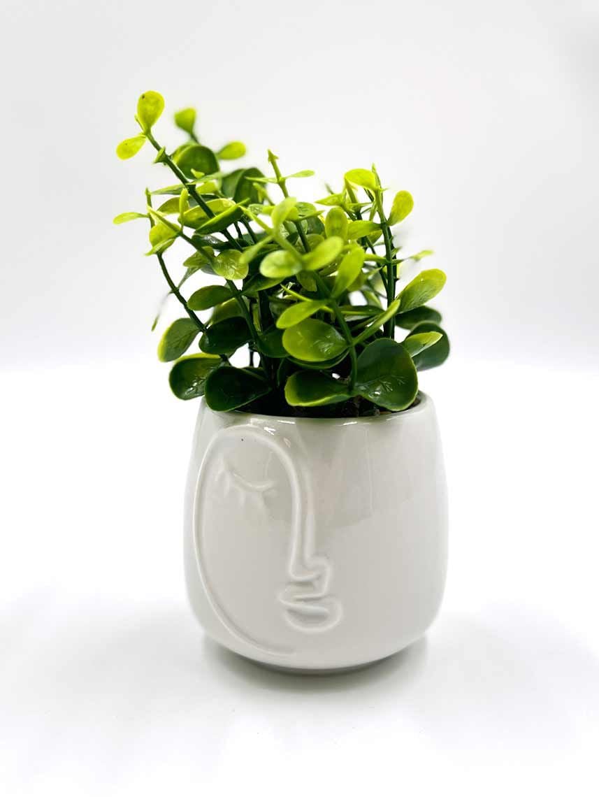 עציץ מלאכותי