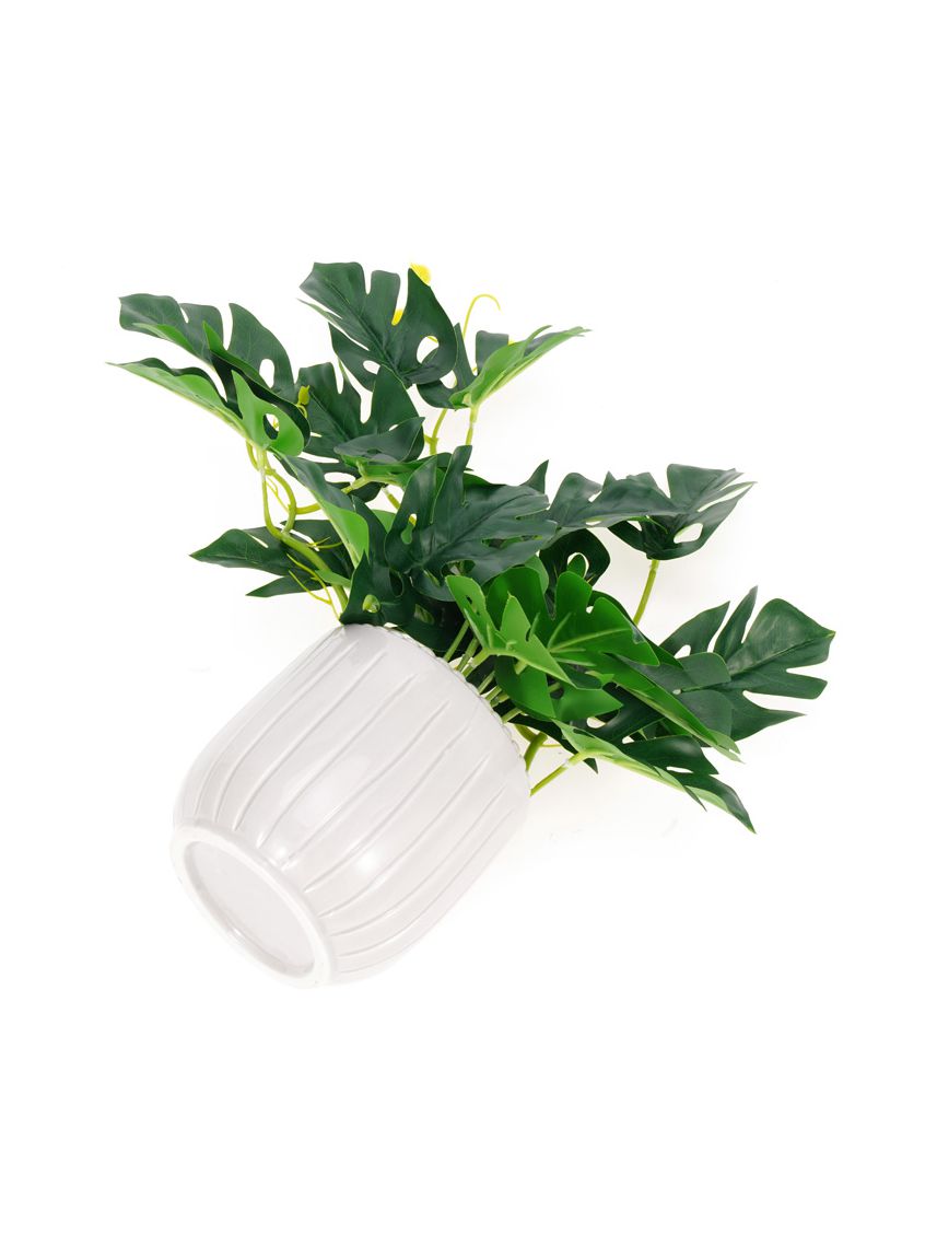 עציץ מלאכותי