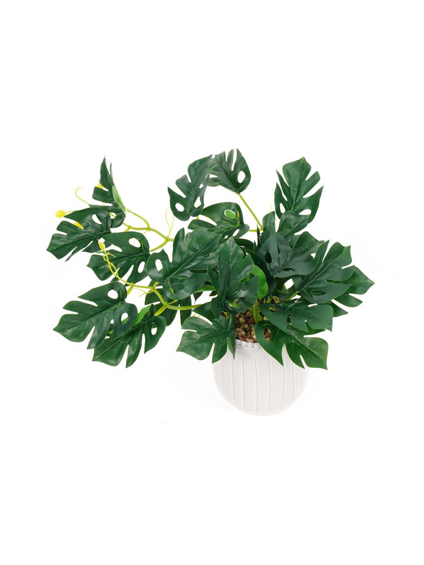 עציץ מלאכותי