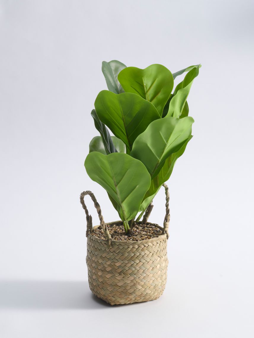 עציץ מלאכותי