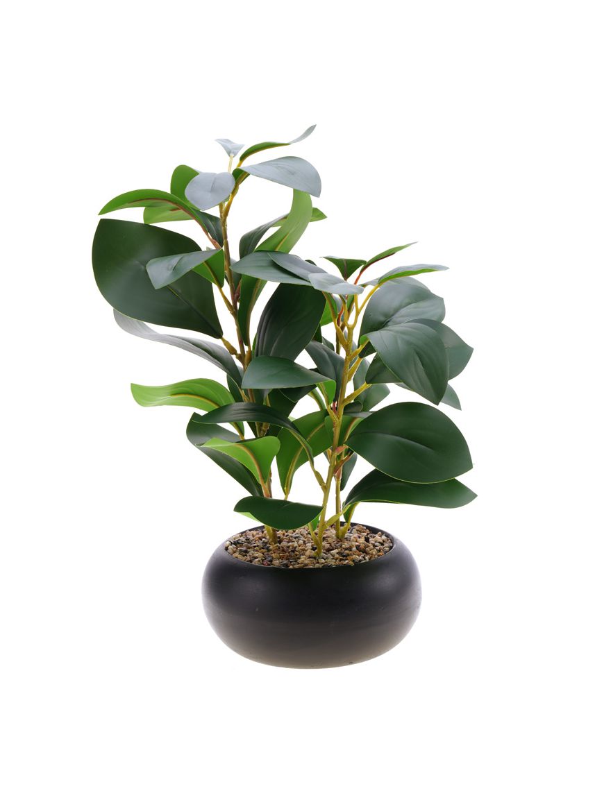 עציץ פלסטיק