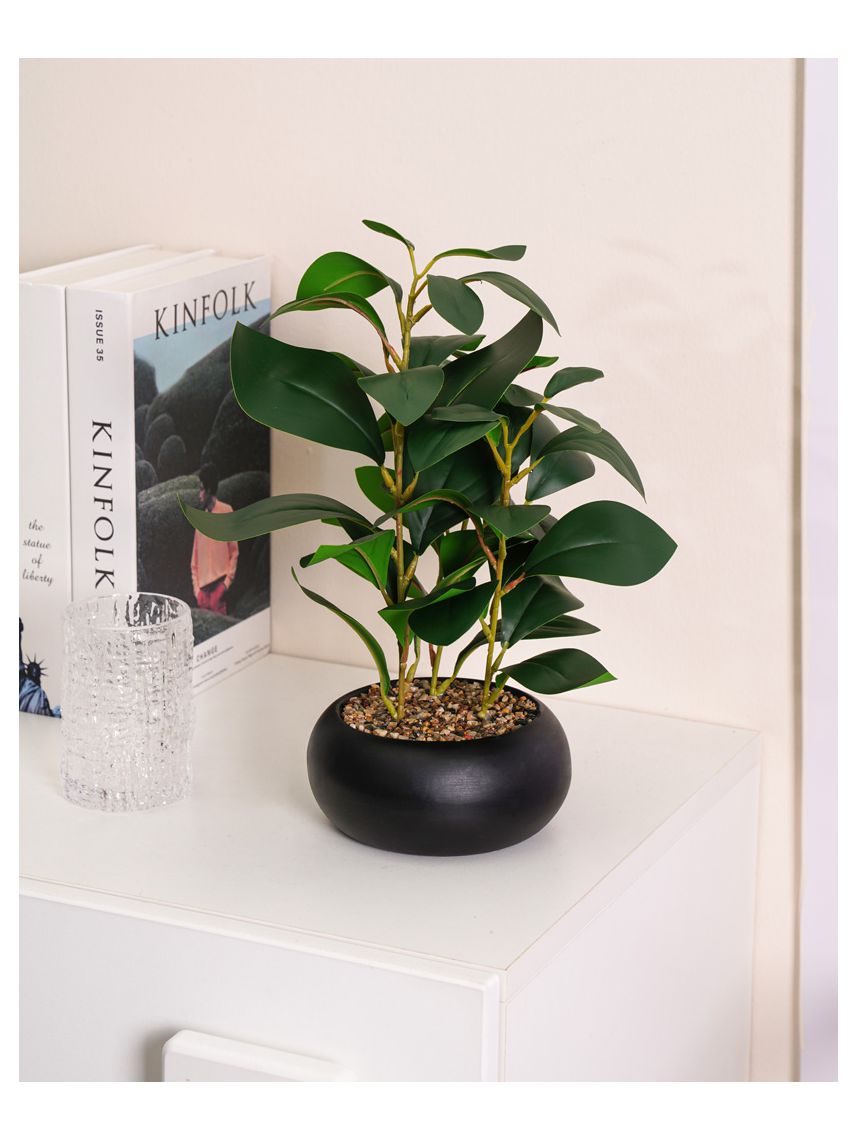 עציץ פלסטיק