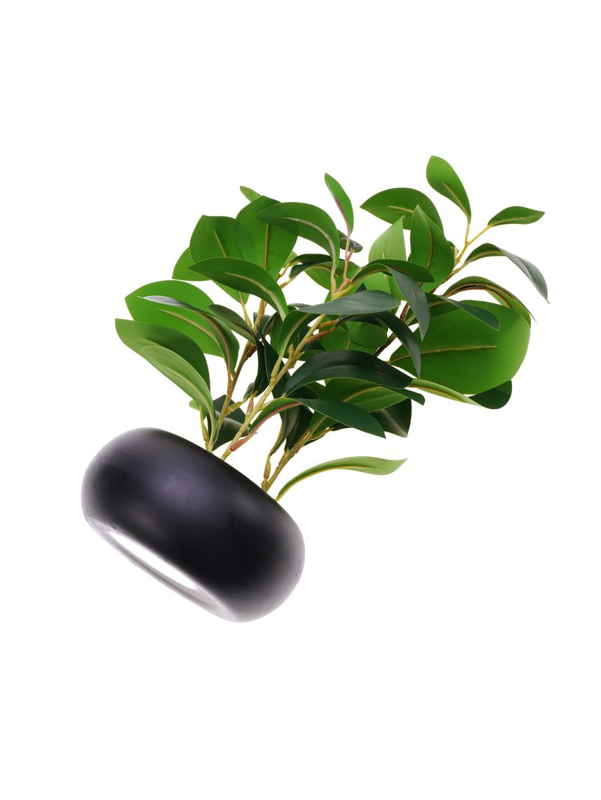 עציץ פלסטיק