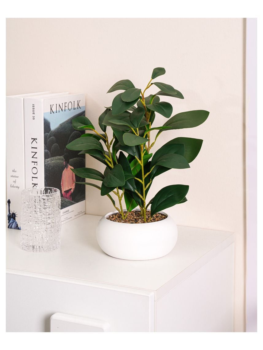 עציץ פלסטיק