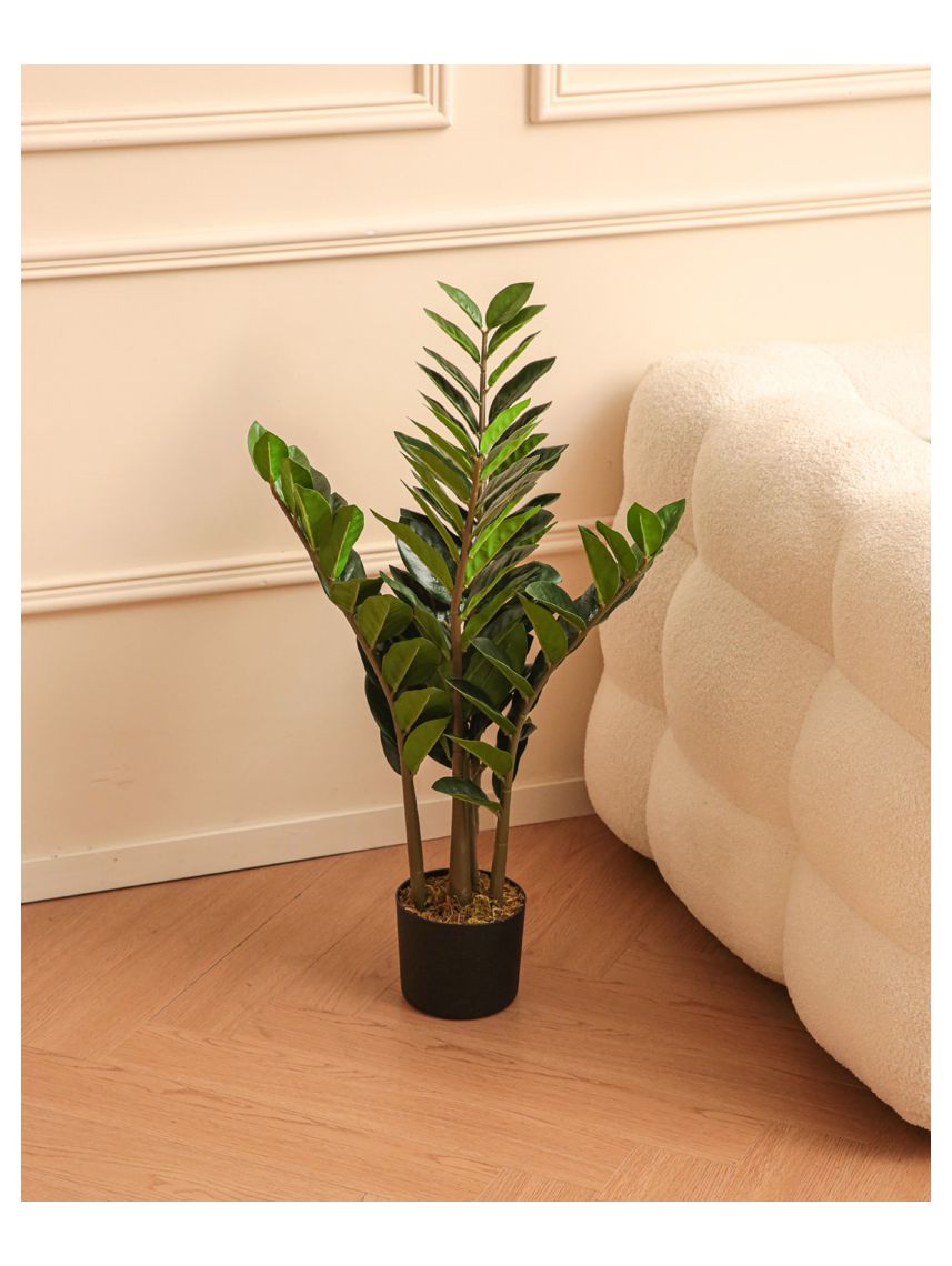 עציץ פלסטיק