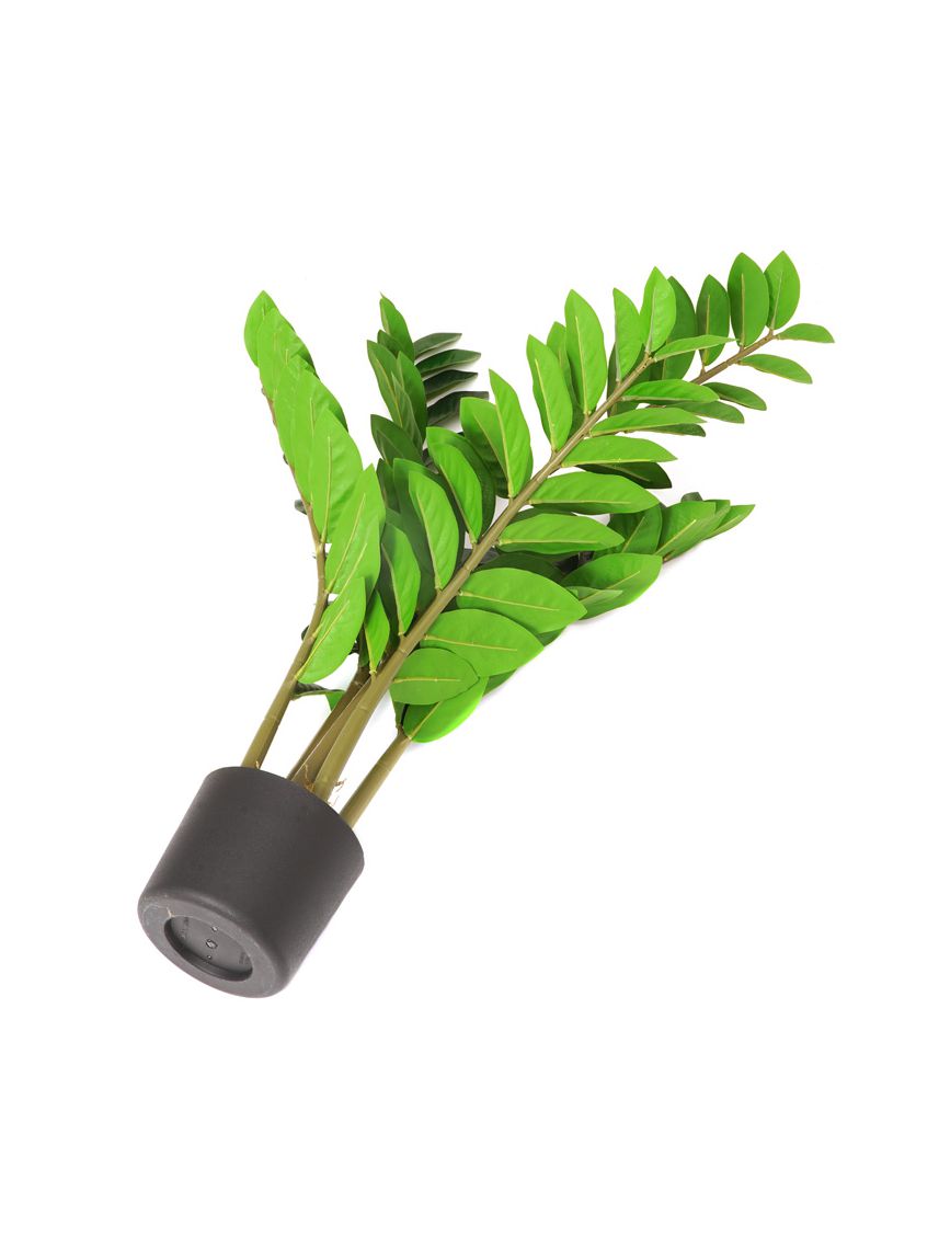 עציץ פלסטיק