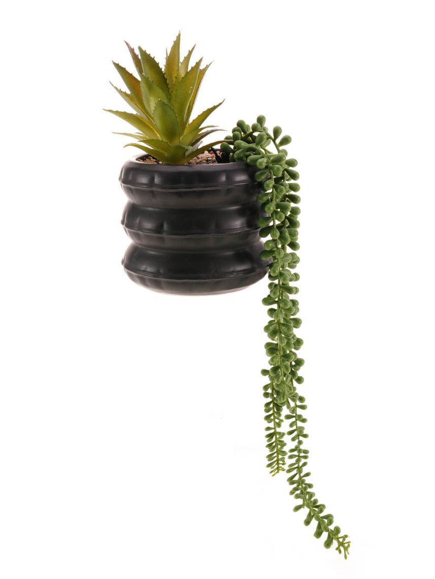 עציץ פלסטיק דקורטיבי