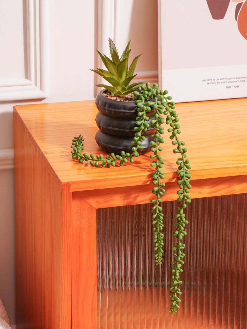 עציץ פלסטיק דקורטיבי