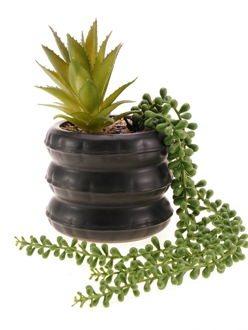 עציץ פלסטיק דקורטיבי