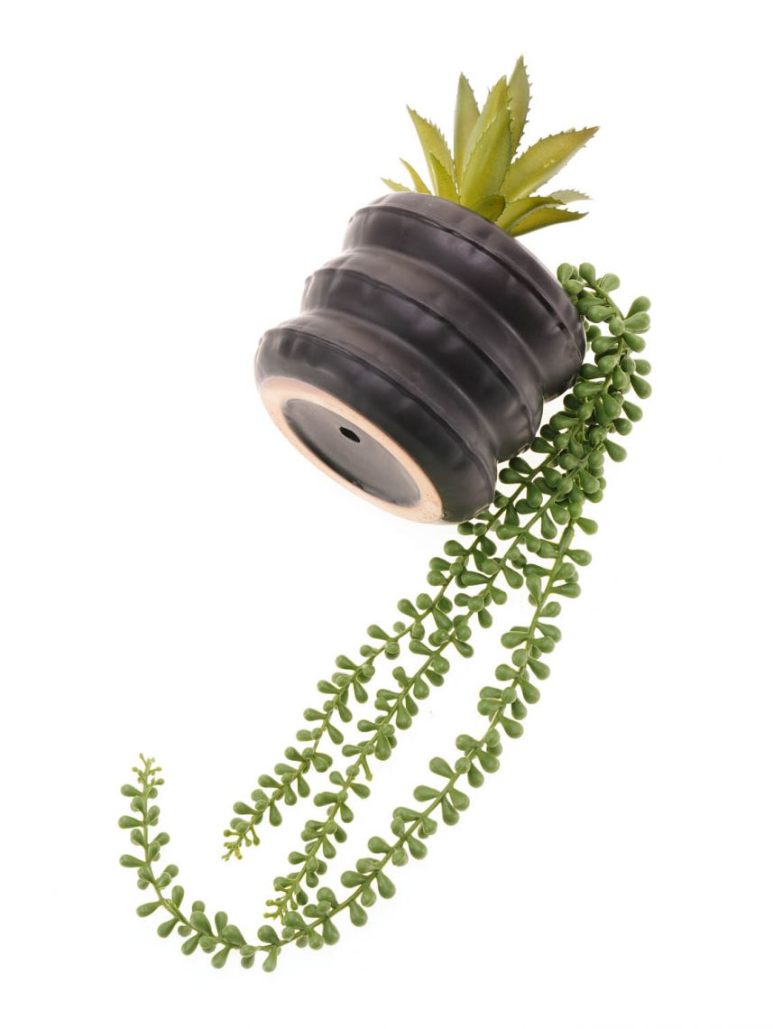 עציץ פלסטיק דקורטיבי