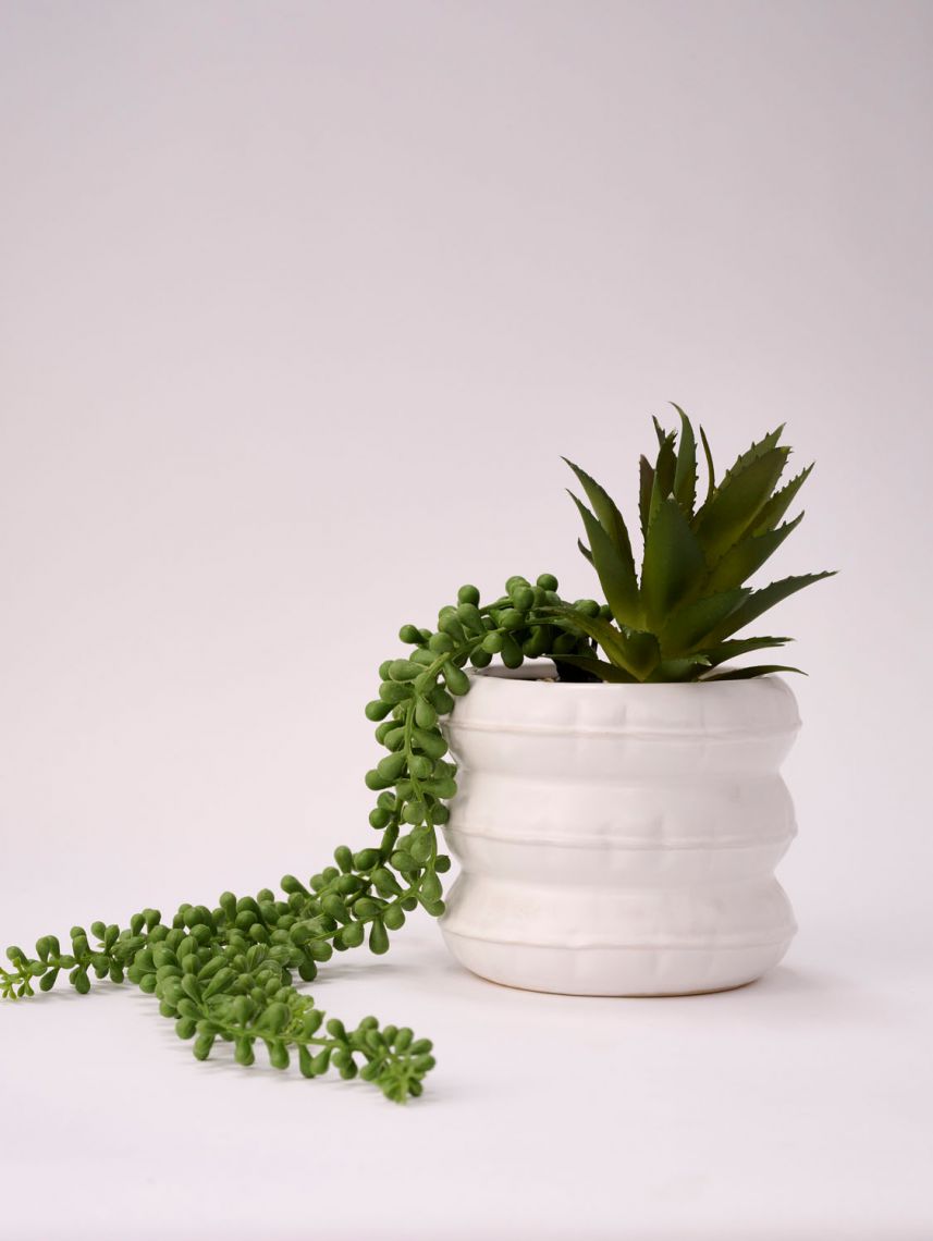 עציץ פלסטיק דקורטיבי