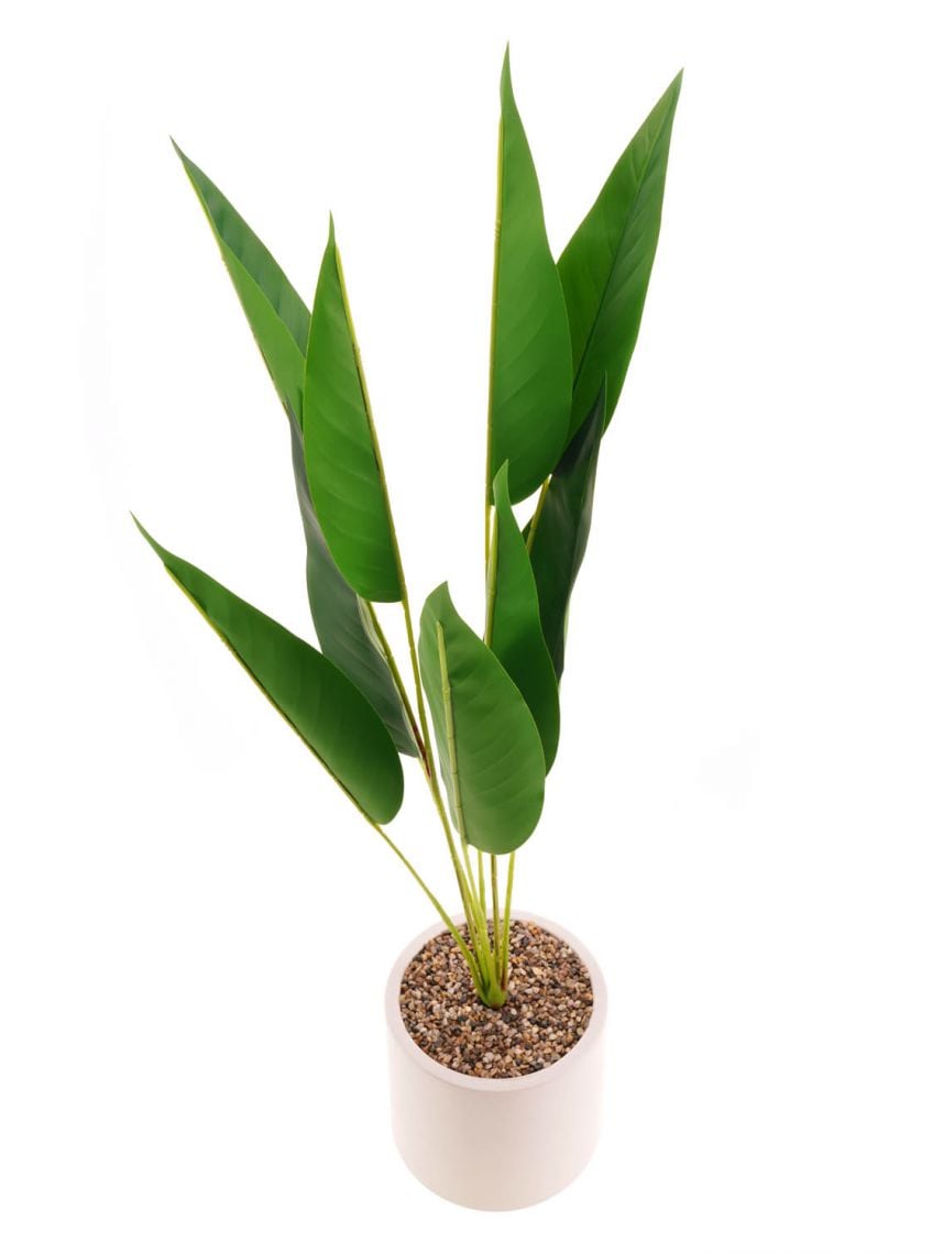 עציץ פלסטיק דקורטיבי