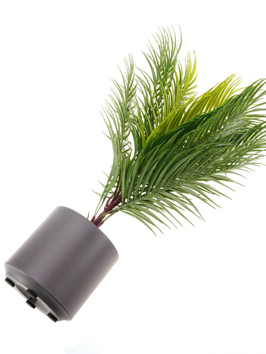 עציץ פלסטיק