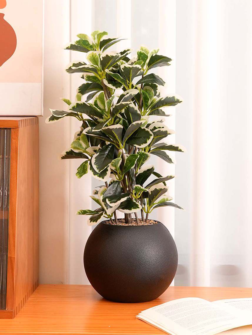 עציץ מלאכותי