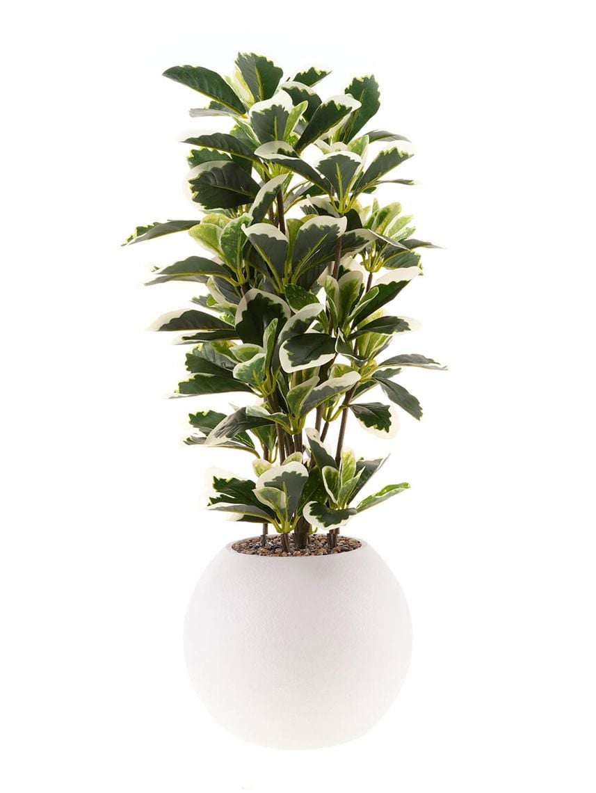 עציץ מלאכותי