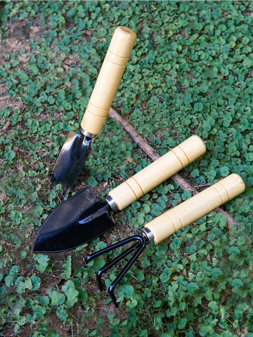 סט 3 כלי עבודה לגינה