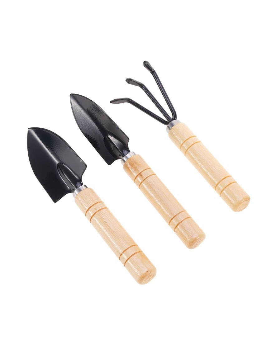 סט 3 כלי עבודה לגינה