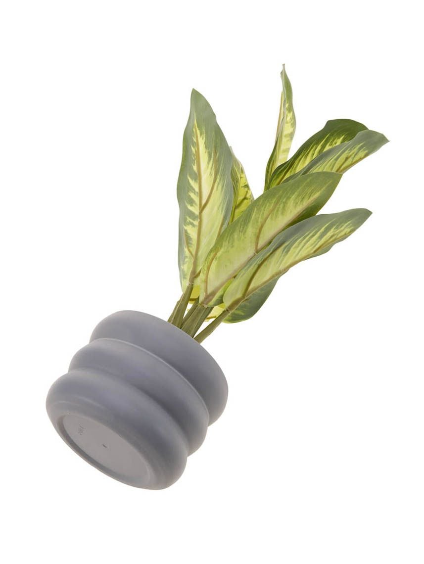 עציץ פלסטיק