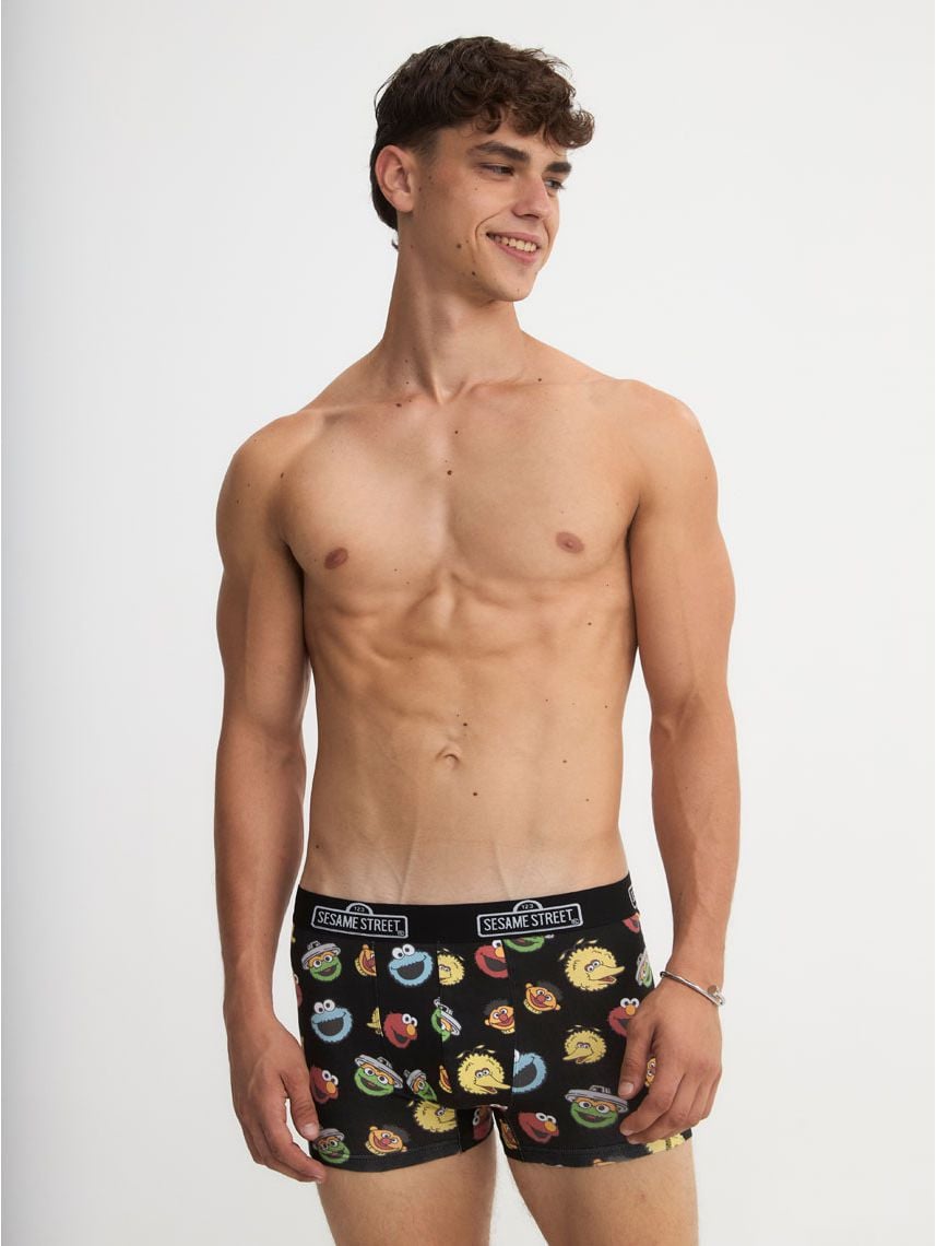 תחתוני בוקסר | Sesame Street