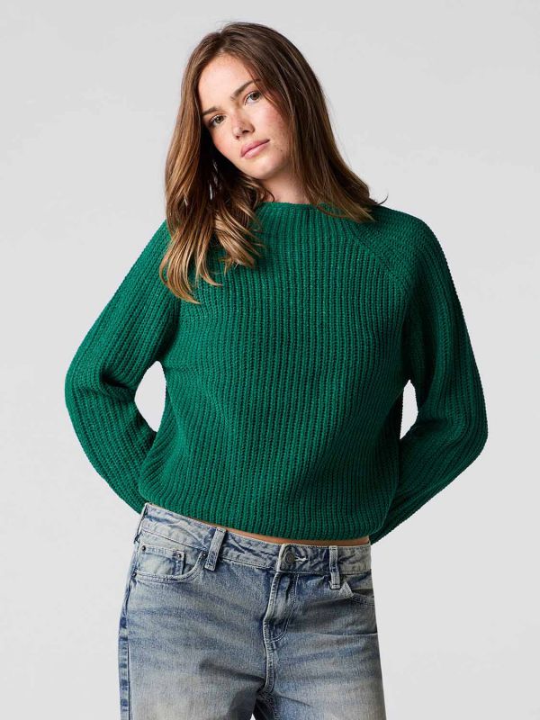 סריג עם צווארון