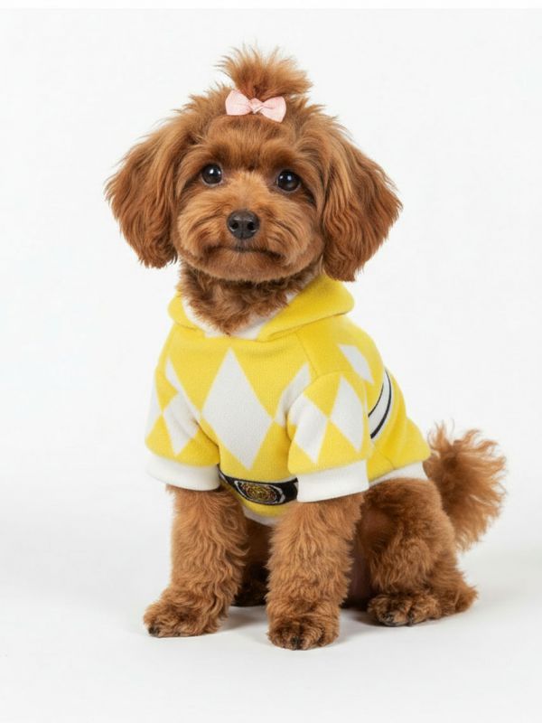 תחפושת פאוור ריינג’רס לכלב/ה