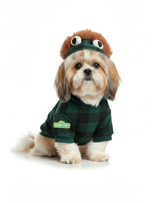 קפוצ’ון לכלב |Sesame Street