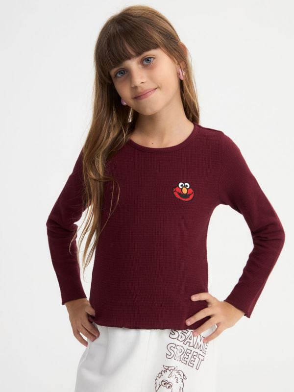 חולצת ופל ארוכה | Sesame Street