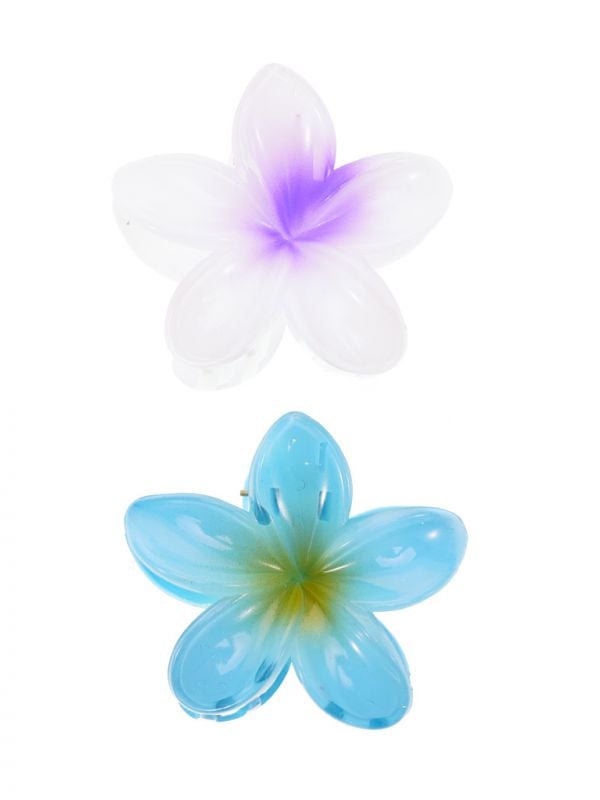 מארז זוג קליפסים