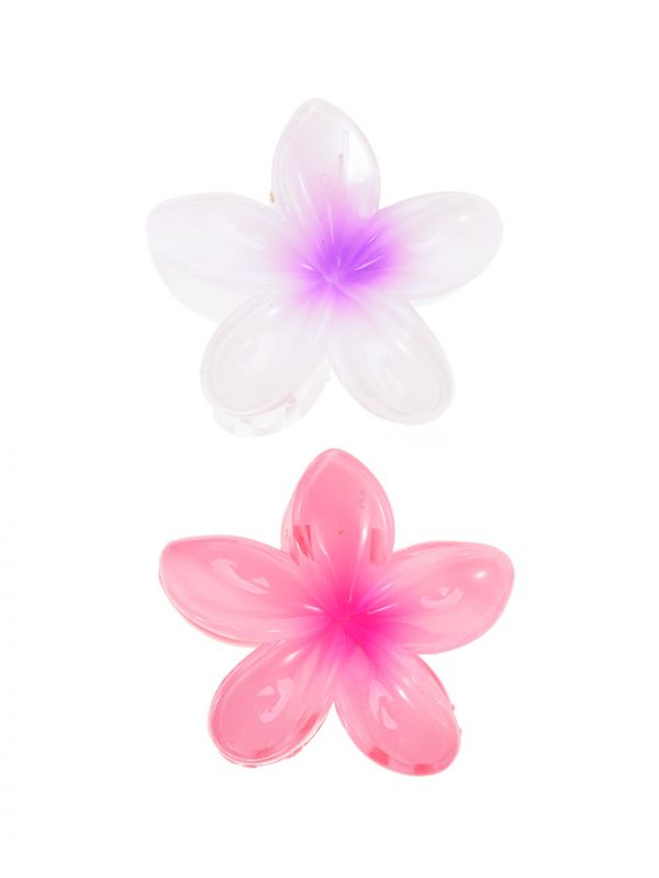 מארז זוג קליפסים